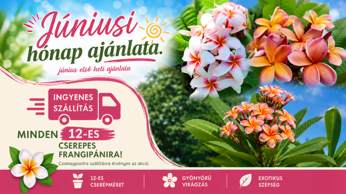 Egzoticplant webshop