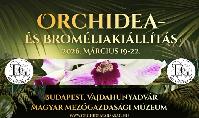 Egzoticplant webshop