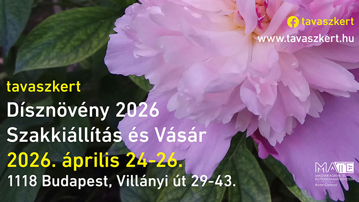 Egzoticplant webshop