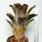 Aechmea Dark Deleon Hybrid