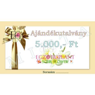 Ajándékutalvány 5000.-Ft 