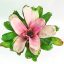 Neoregelia Michi