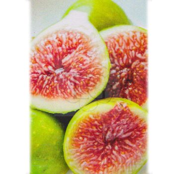 Ficus carica/Füge "Verdino" Ficus carica/Füge "Verdino"