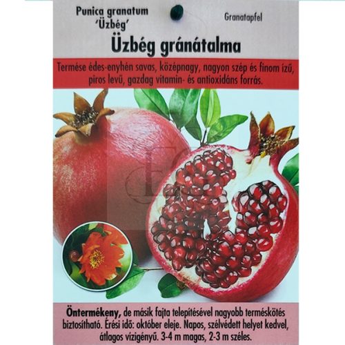 Punica granatum "Üzbég"-Gránátalma   