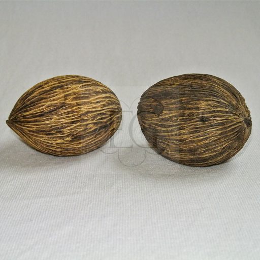 Mintola labda 