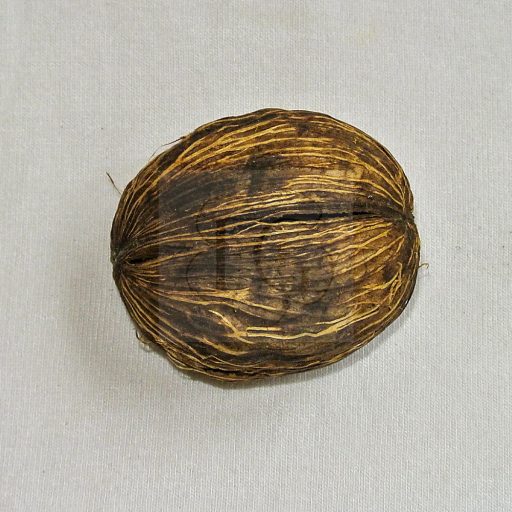 Mintola labda 