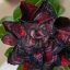 Adenium obesum "Alexander" (S)