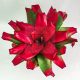 Neoregelia Green Apple 