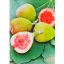 Ficus carica/Füge "Bornholms Diamant"