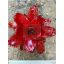 Neoregelia Pallada Red