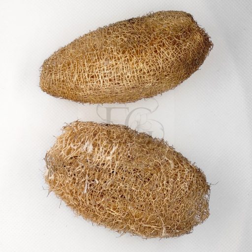 Luffa/2 db