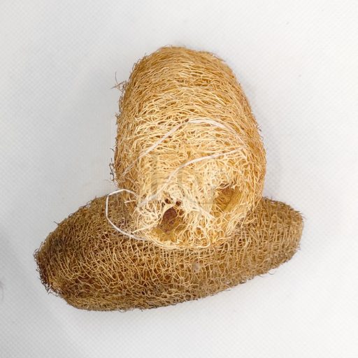 Luffa/2 db
