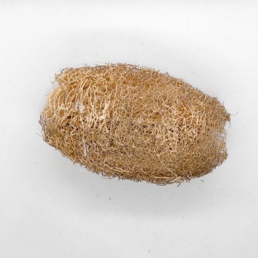 Luffa/2 db