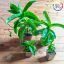 Callisia fragrans/S