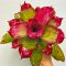Neoregelia Medusa X Lila