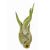 Tillandsia caput medusae/XL