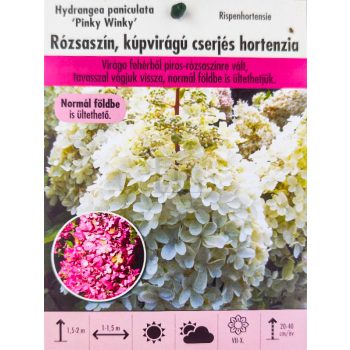 Hydrangea paniculata "Pinky Winky"/ Bugás hortenzia   Hydrangea paniculata "Pinky Winky"/ Bugás hortenzia