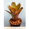 Neoregelia Yellow Dot 