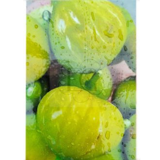 Ficus carica/Füge "Botanikus kert"