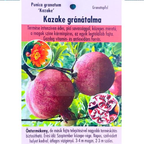 Punica granatum "Kazake"-Gránátalma