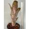 Billbergia Domingo Martin X Norman Bats #7