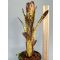 Billbergia Northern Lights 